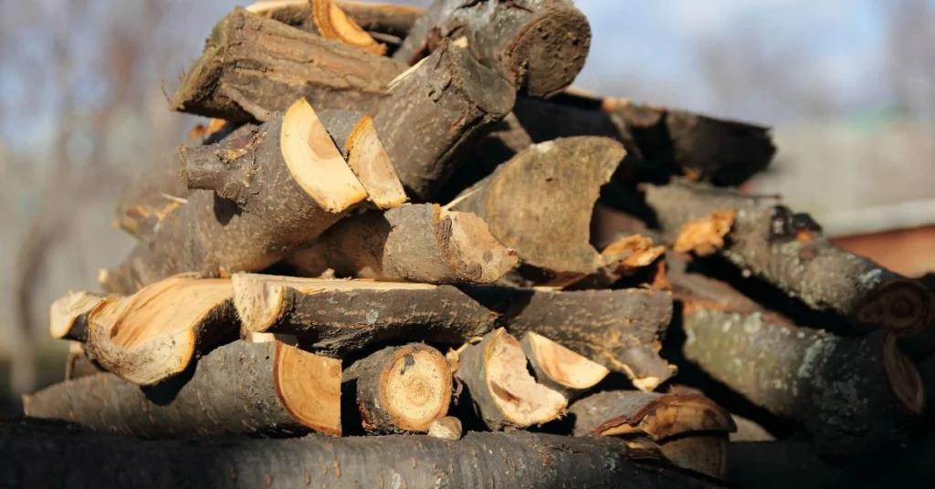 Firewood and Sustainability: A Mindful Approach to Living